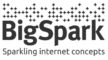 BigSpark