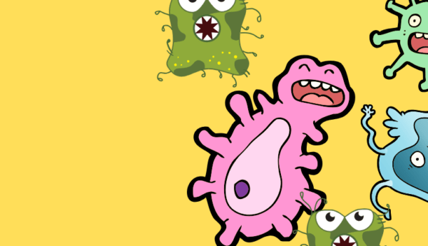 Beveilig je WordPress website met deze 5 onderhoudstips