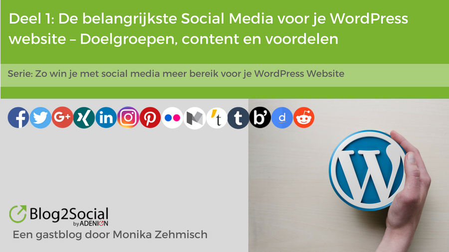 Social Media WordPress